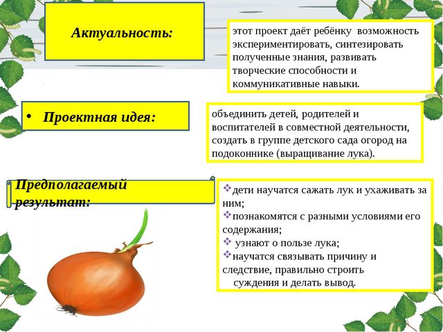 Лук. Презентация для дошкольников