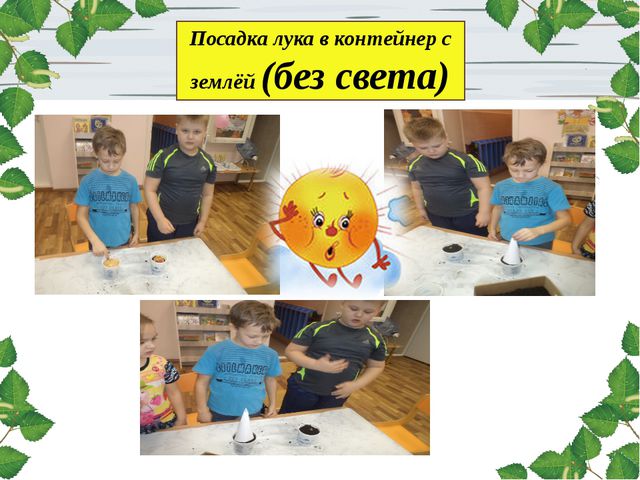 Лук. Презентация для дошкольников