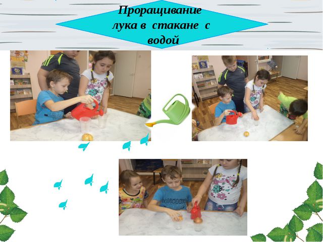 Лук. Презентация для дошкольников