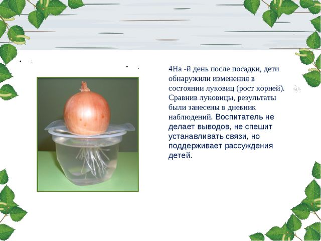 Лук. Презентация для дошкольников