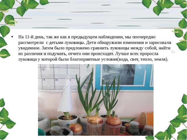 Лук. Презентация для дошкольников