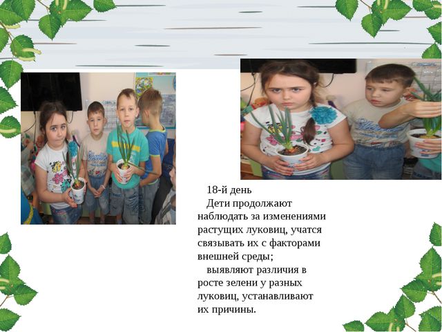 Лук. Презентация для дошкольников