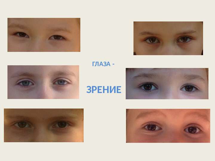 Органы чувств. Презентация для детей