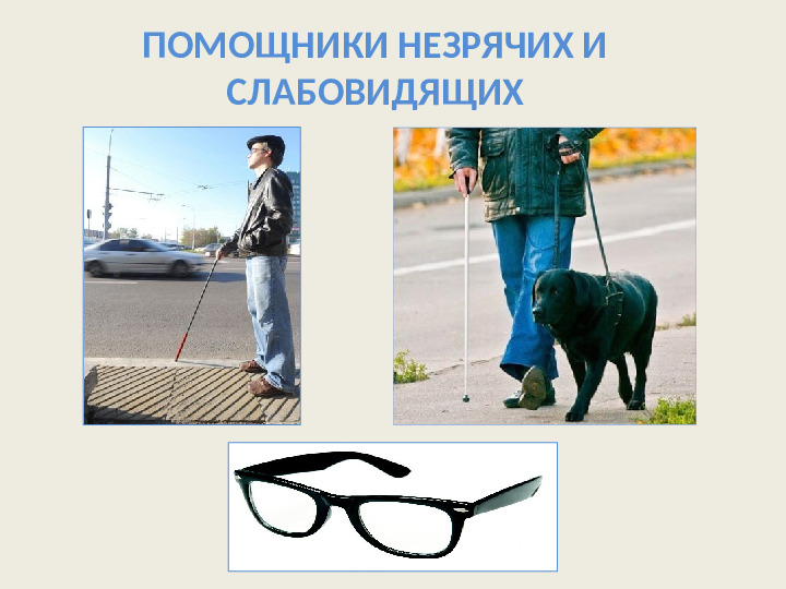 Органы чувств. Презентация для детей