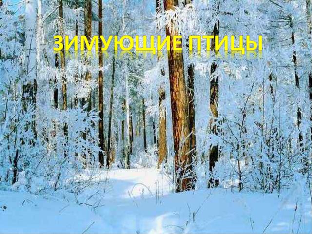 Презентация для детей дошкольников. Зимующие птицы