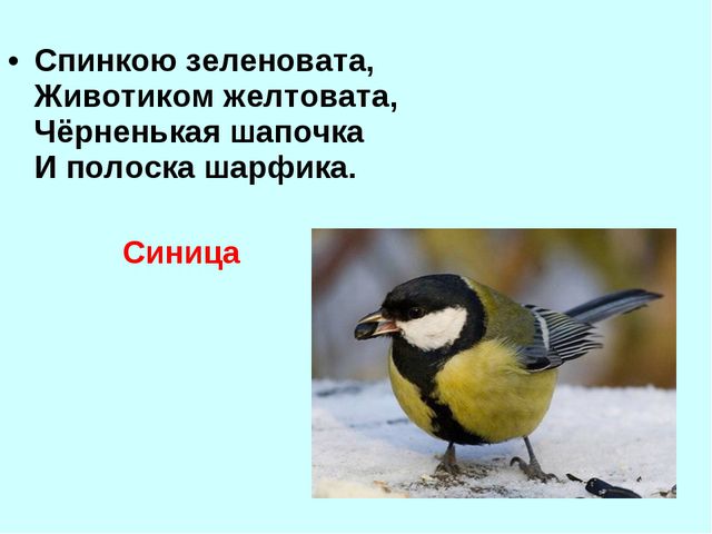 Презентация для детей дошкольников. Зимующие птицы