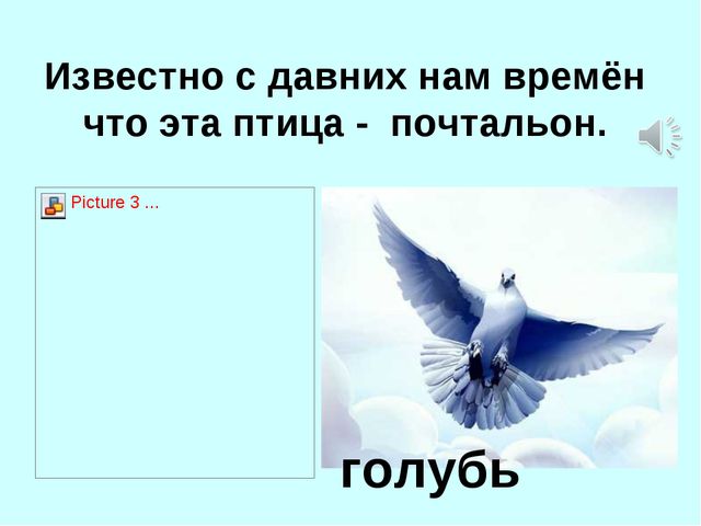Презентация для детей дошкольников. Зимующие птицы