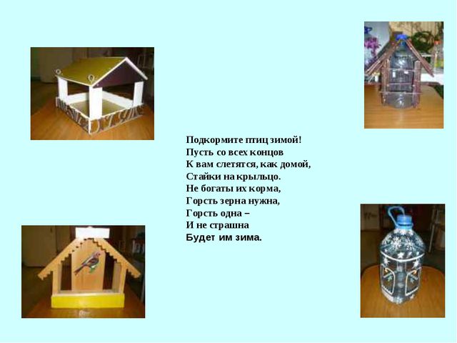 Презентация для детей дошкольников. Зимующие птицы