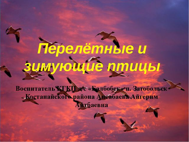 Зимующие и перелётные птицы. Занятие по развитию речи
