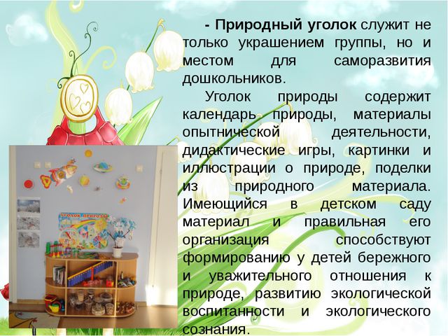Организация предметно-развивающей среды в старшей группе
