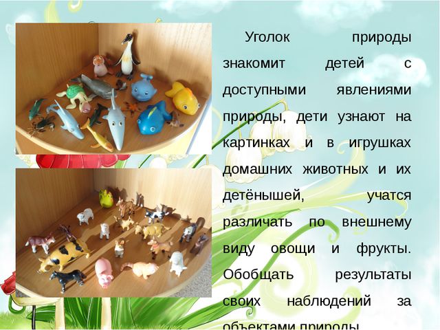 Организация предметно-развивающей среды в старшей группе
