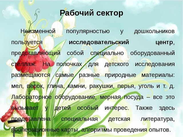 Организация предметно-развивающей среды в старшей группе