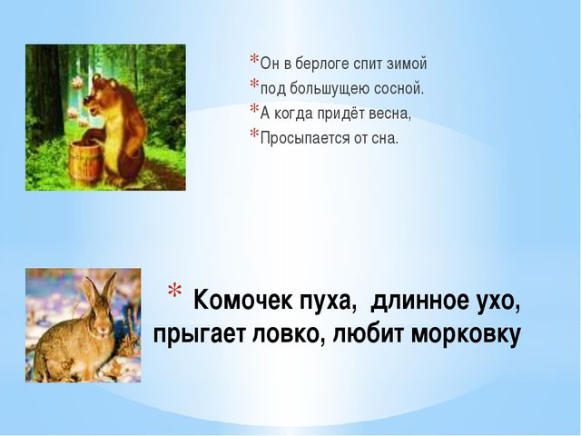 Дикие животные и их детёныши. Презентация