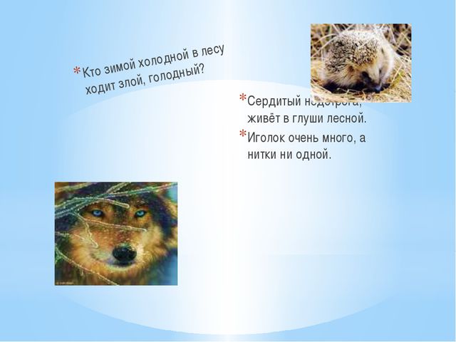 Дикие животные и их детёныши. Презентация