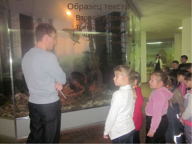 Воспитание у детей любви к родному краю. Презентация