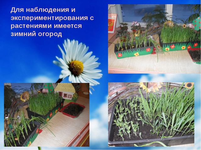 Детское экспериментирование как способ познания окружающего мира