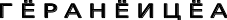 Shape63