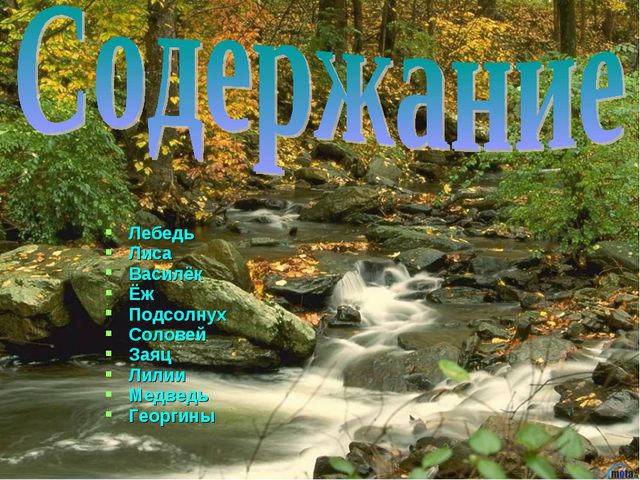 Флора и фауна. Презентация для детей