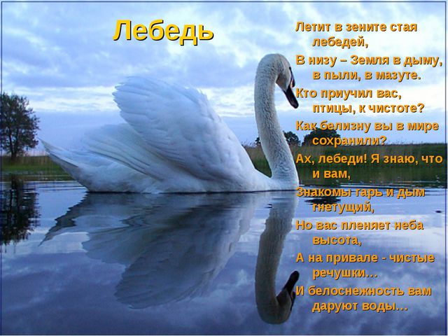 Флора и фауна. Презентация для детей