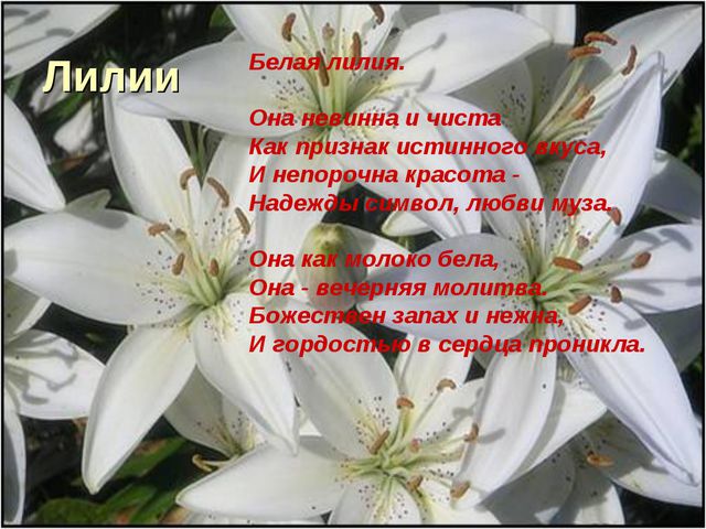 Флора и фауна. Презентация для детей