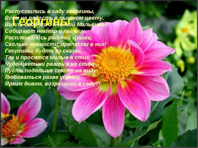 Флора и фауна. Презентация для детей