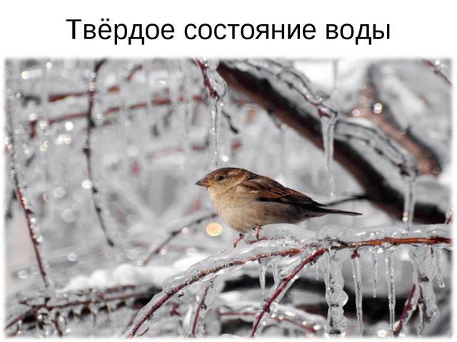 Круговорот воды в природе. Презентация для детей