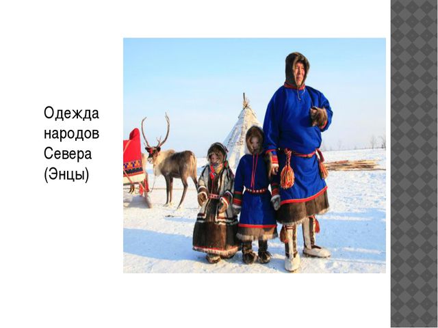 Одежда и обувь. Презентация для детей