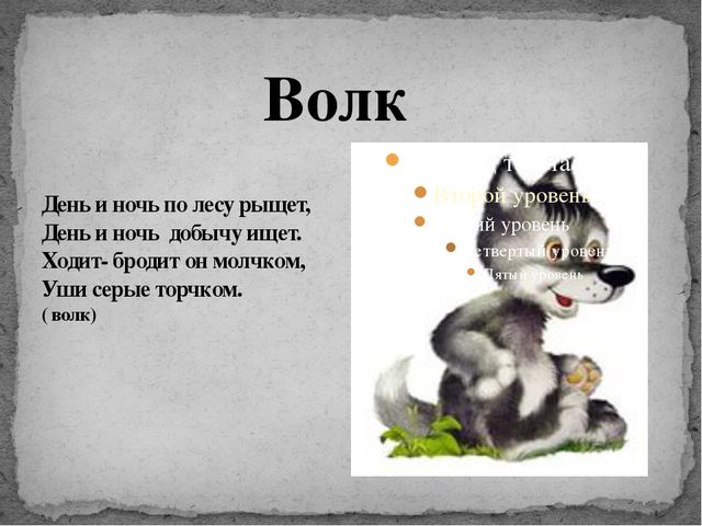 Загадки о животных. Презентация для дошкольников