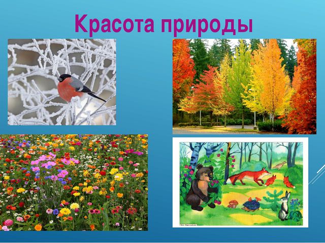 Красота вокруг нас! Презентация для дошкольников