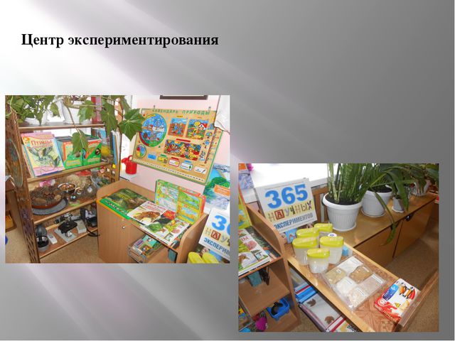 Развивающая среда группы