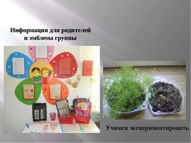 Развивающая среда группы