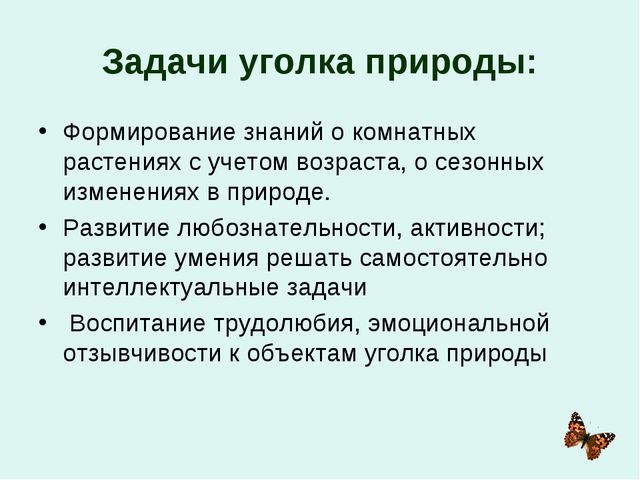 Организация уголков природы с учётом возрастных особенностей детей дошкольного возраста