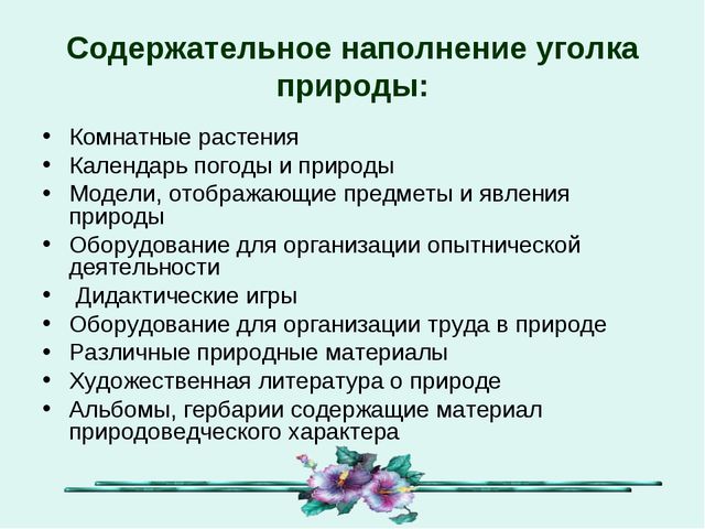 Организация уголков природы с учётом возрастных особенностей детей дошкольного возраста