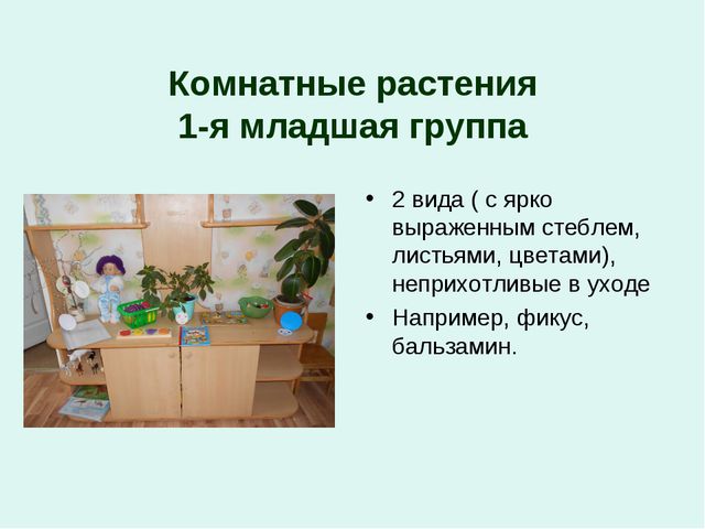 Сочинение описание уголка природы