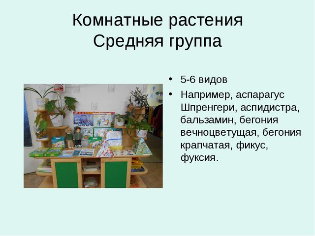 Организация уголков природы с учётом возрастных особенностей детей дошкольного возраста