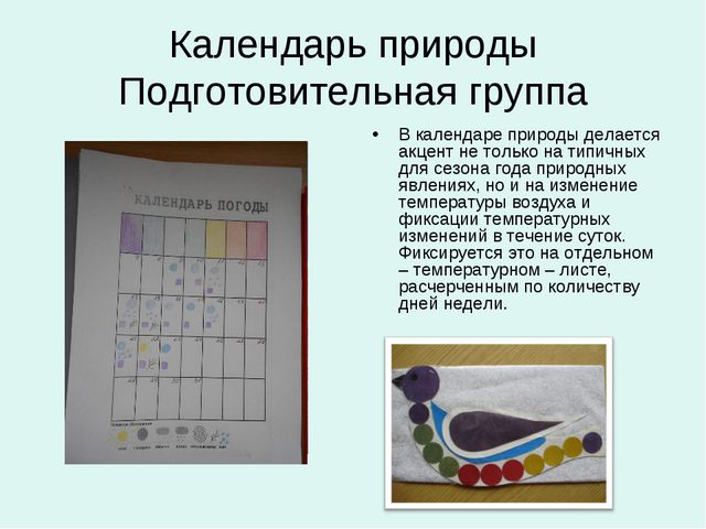 Организация уголков природы с учётом возрастных особенностей детей дошкольного возраста