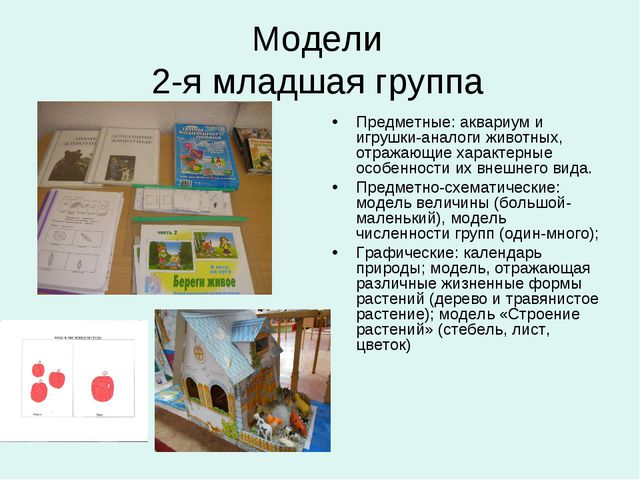 Организация уголков природы с учётом возрастных особенностей детей дошкольного возраста