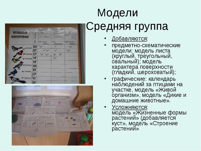 Календарь наблюдения за птицами. Дневник наблюдения за птицами. Календарь наблюдения за птицами в детском саду. Календарь наблюдений в средней группе.