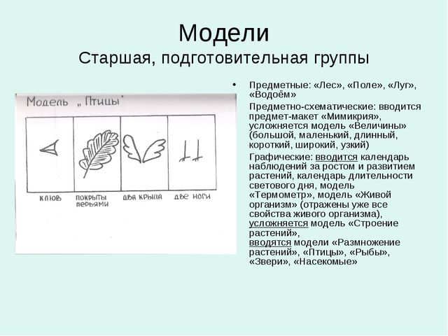 Организация уголков природы с учётом возрастных особенностей детей дошкольного возраста