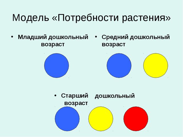 Организация уголков природы с учётом возрастных особенностей детей дошкольного возраста