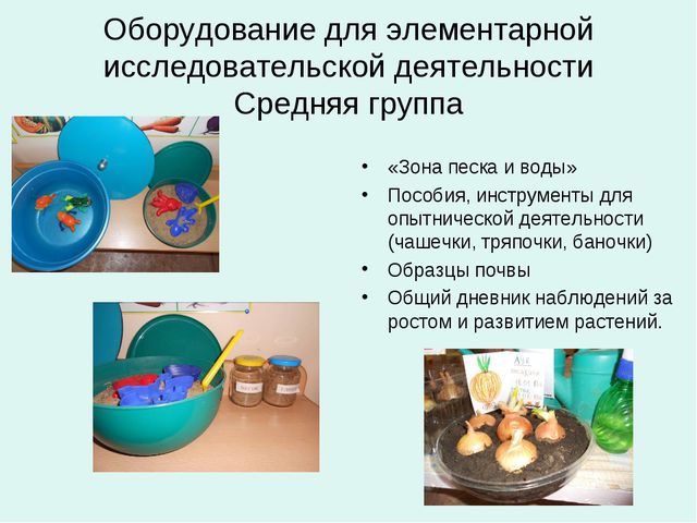 Организация уголков природы с учётом возрастных особенностей детей дошкольного возраста