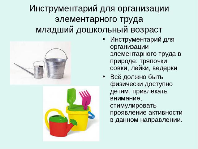 Организация уголков природы с учётом возрастных особенностей детей дошкольного возраста
