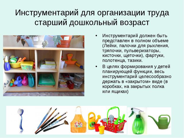 Организация уголков природы с учётом возрастных особенностей детей дошкольного возраста