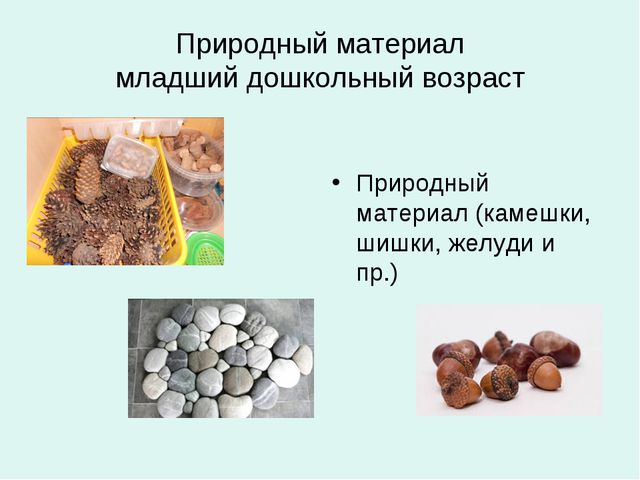 Организация уголков природы с учётом возрастных особенностей детей дошкольного возраста