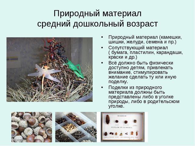 Организация уголков природы с учётом возрастных особенностей детей дошкольного возраста
