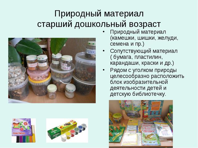 Организация уголков природы с учётом возрастных особенностей детей дошкольного возраста