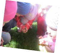 Picture 1