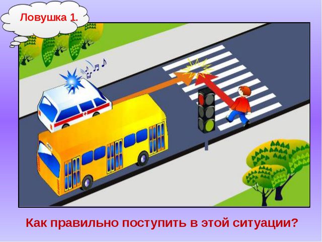 Знатоки безопасного поведения