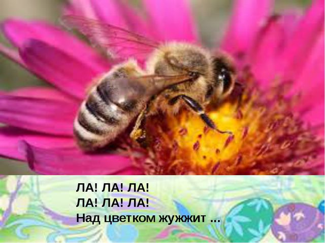 Звук и буква л. Презентация по развитию речи