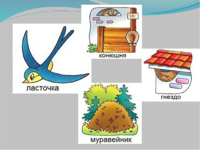 Кто где живёт? Презентация для детей